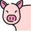 kiaulena.png